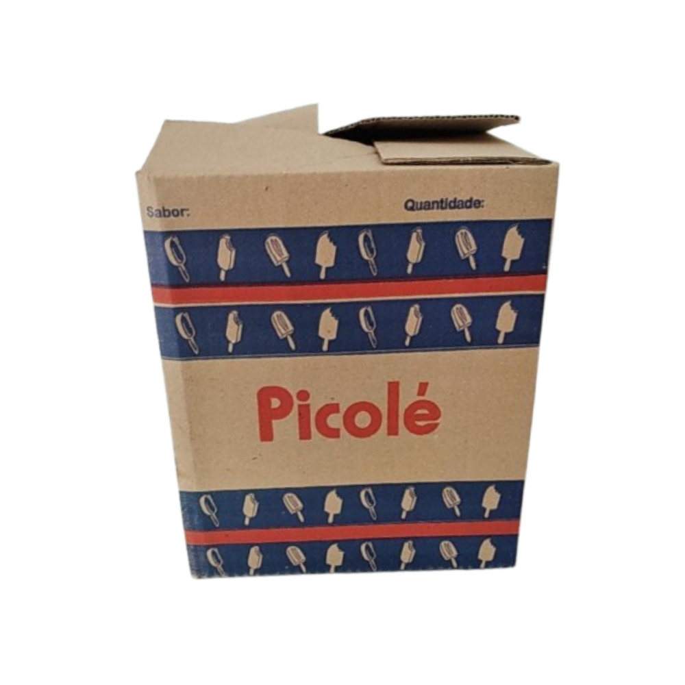 Caixa para Picolé Viva Box P/G – 1x25un