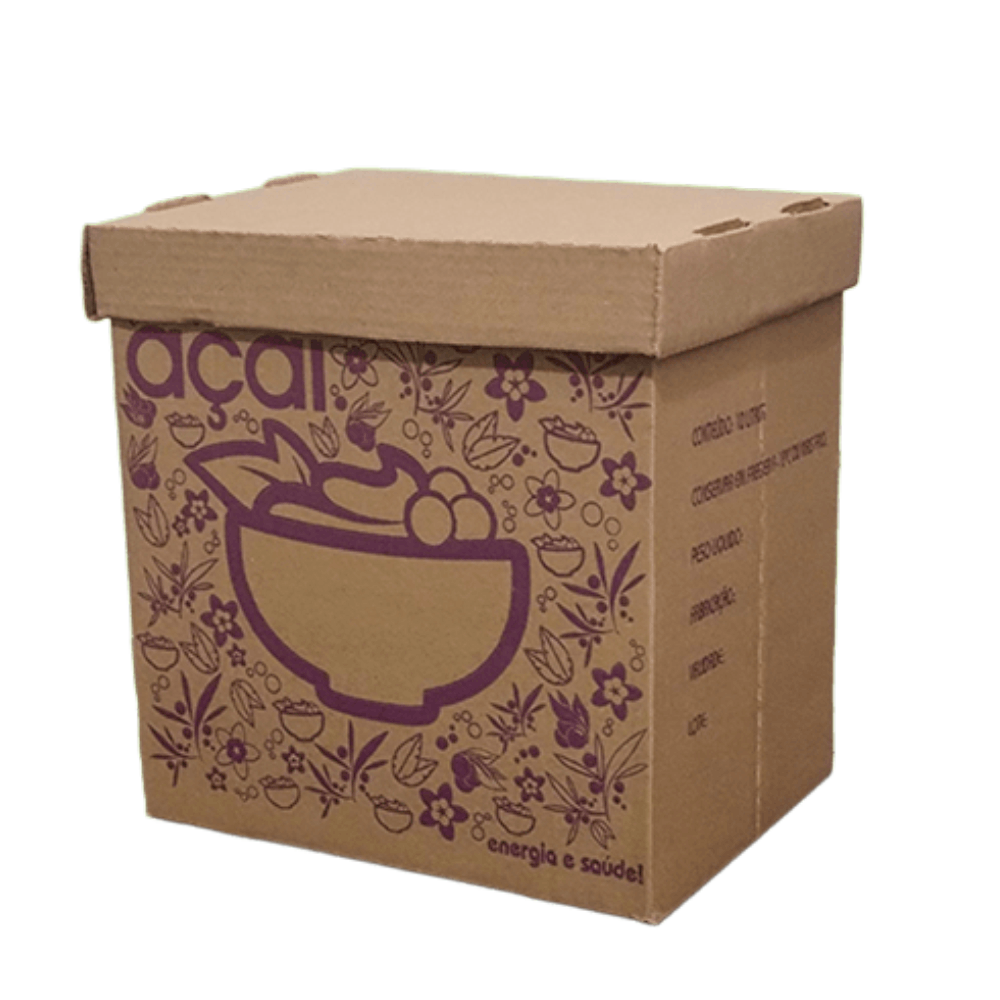 Caixa Parda Açaí Viva Box 1x5lt un
