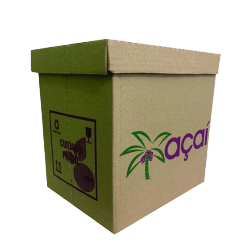 Caixa Parda Açaí Viva Box 1x10lt un
